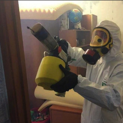 Уничтожение клопов в квартире. Сызрань